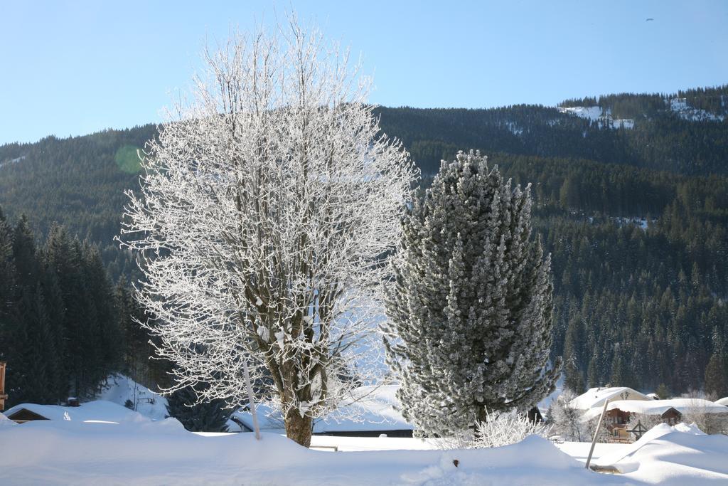 Zur Lieben Sonne Appartement Filzmoos Kamer foto
