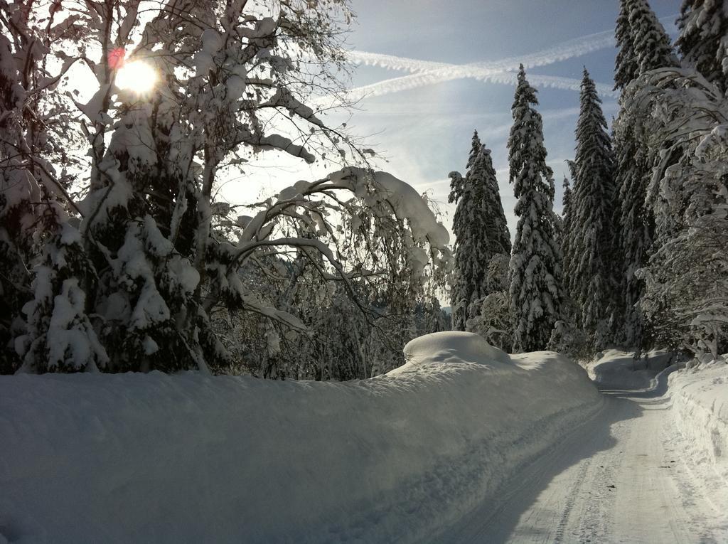 Zur Lieben Sonne Appartement Filzmoos Buitenkant foto