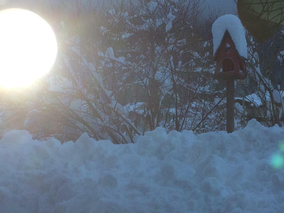 Zur Lieben Sonne Appartement Filzmoos Buitenkant foto